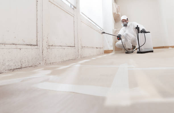 24/7 Emergency Mold Remediation experts in Allen, TX